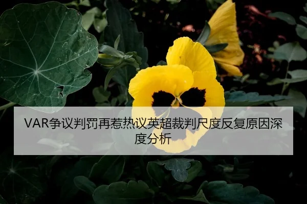 VAR争议判罚再惹热议英超裁判尺度反复原因深度分析